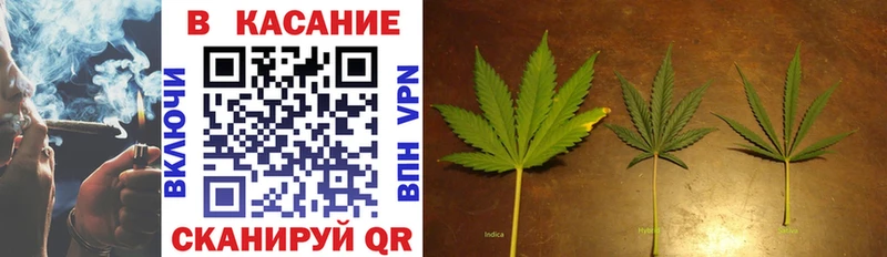 Где продают наркотики Пучеж Галлюциногенные грибы  Альфа ПВП  ГАШ  АМФЕТАМИН  Меф мяу мяу  Бошки Шишки 