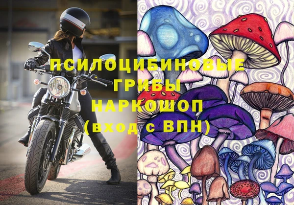 дурь Елабуга