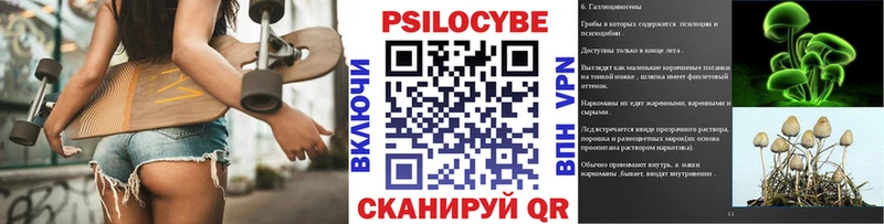 купить  цена  МЕГА зеркало  Галлюциногенные грибы Psilocybe  Пучеж 