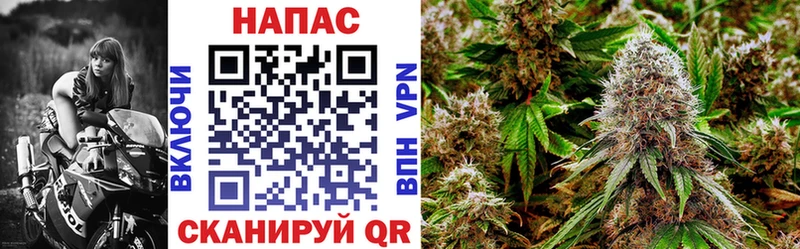 Канабис MAZAR  Пучеж 